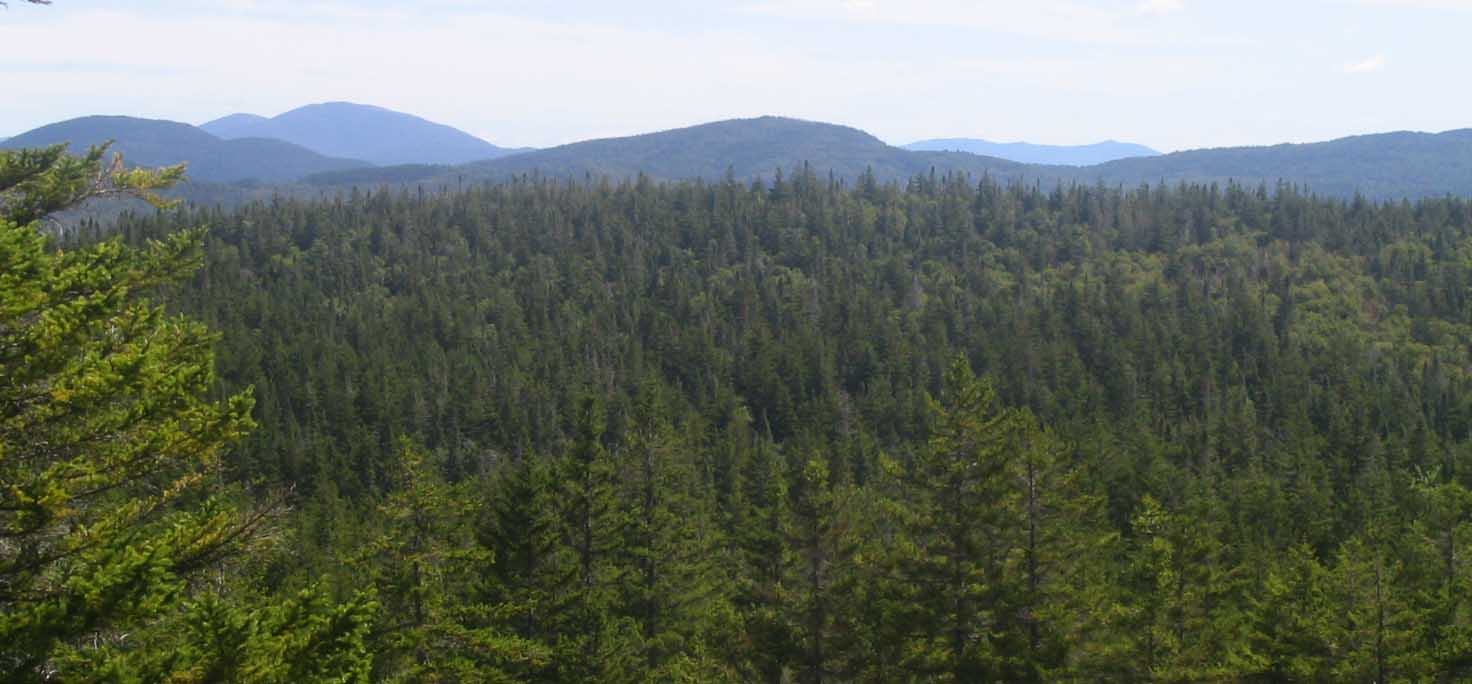 1.7 MM. At an open knob on the east end of the Bemis Range is this view back. From left to right - Beaver, Saddleback Horn, Saddleback, Spruce and Horn Hill. Courtesy askus3@optonline.net